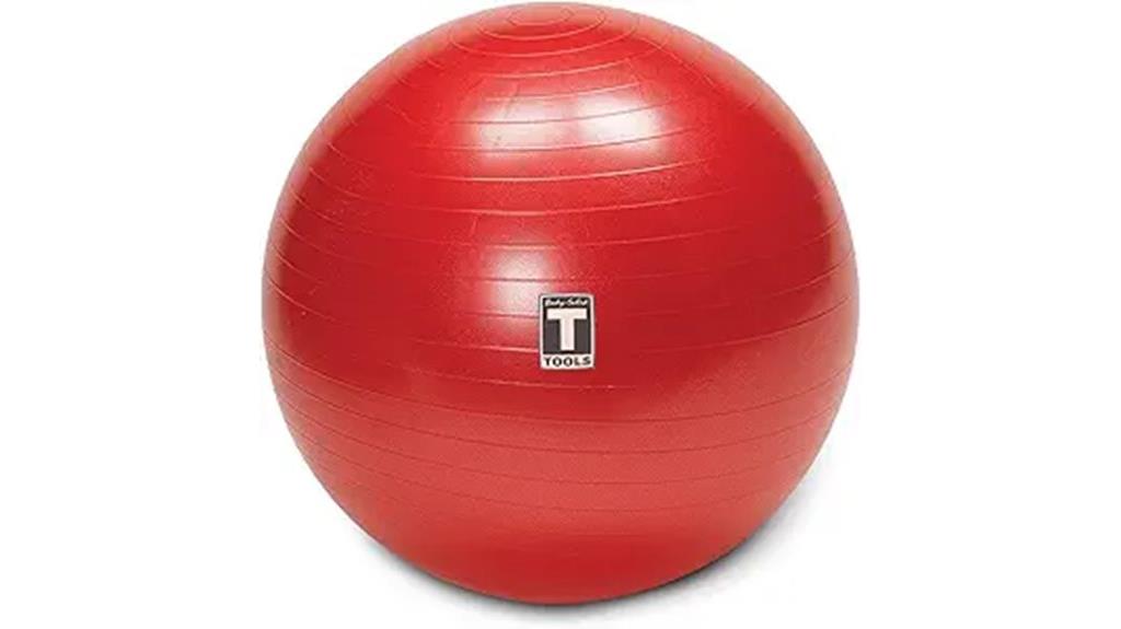 soft weighted exercise ball