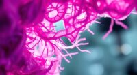 trophoblastic disease overview basics