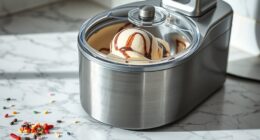 speed of homemade ice cream