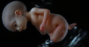fetal growth week by week