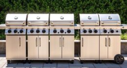 affordable powerful grilling options