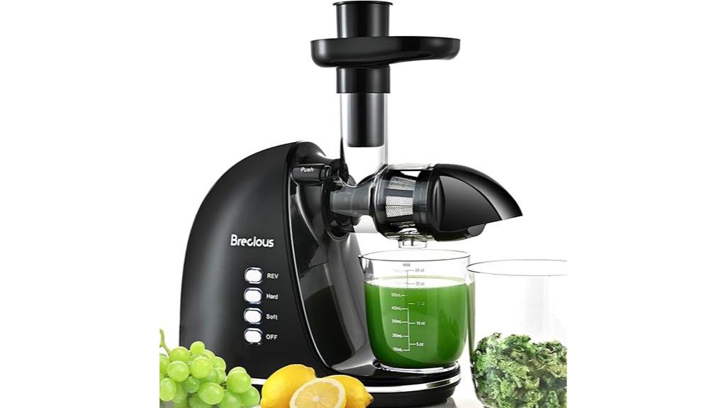 cold press slow juicer