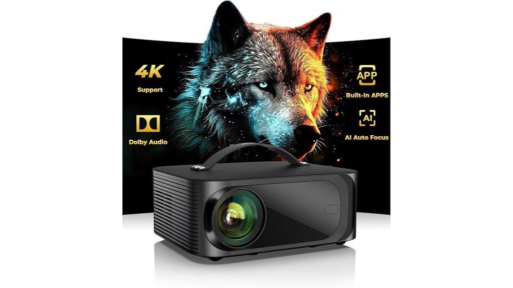 high performance portable outdoor projector