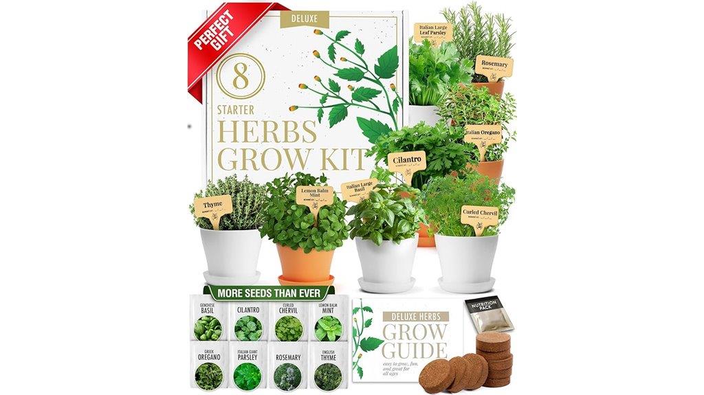 indoor herb gardening kit