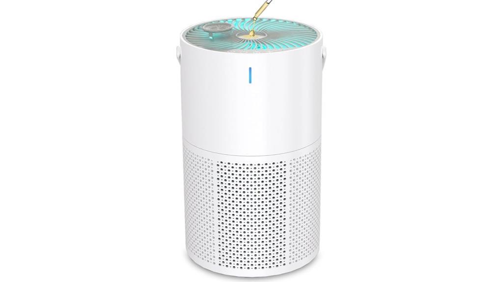 large home room purifier