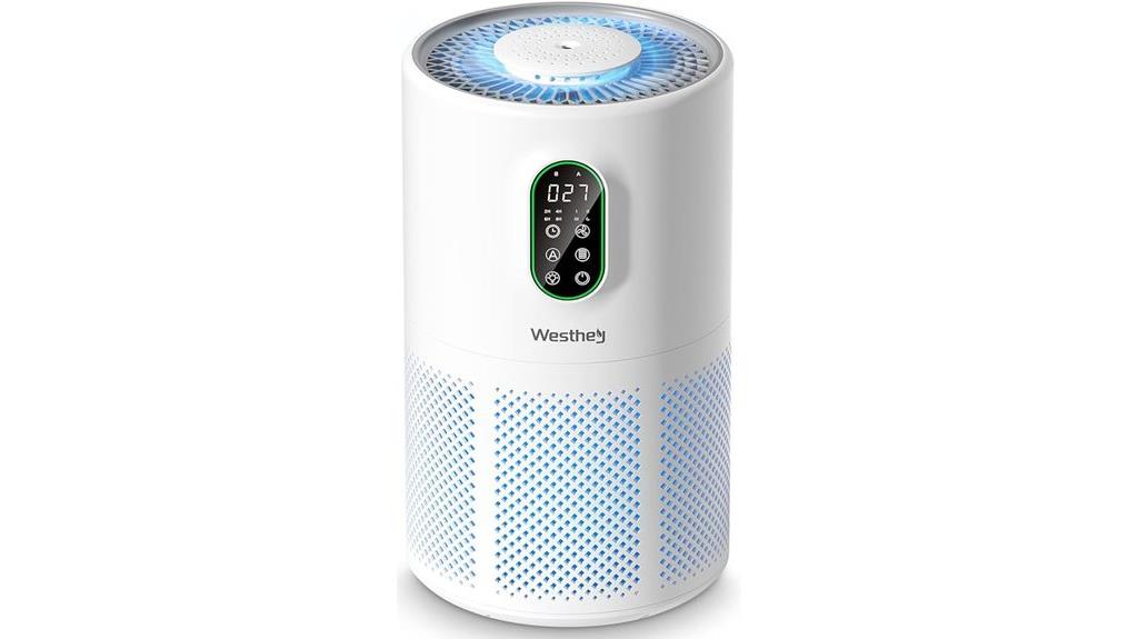 large room hepa purifier