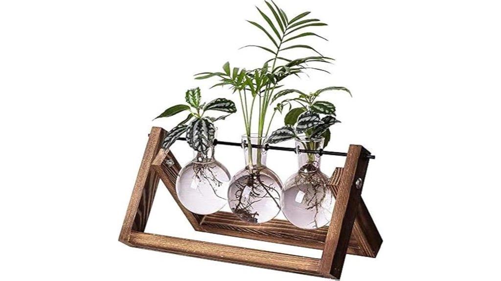 plant terrarium with vases