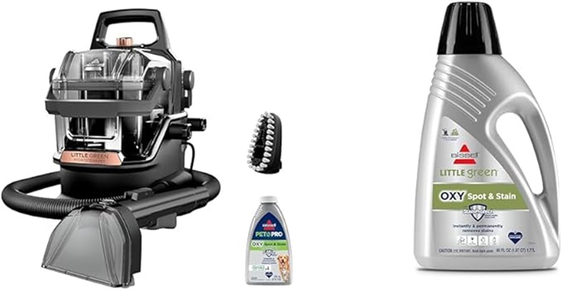 portable stain removal tool