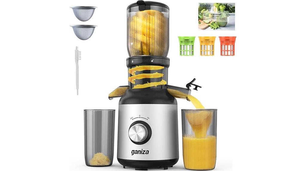 slow masticating juicer