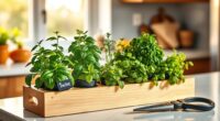top indoor herb garden kits