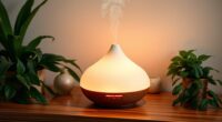top oil diffuser humidifier combos