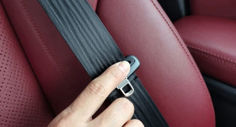 car seat safety check