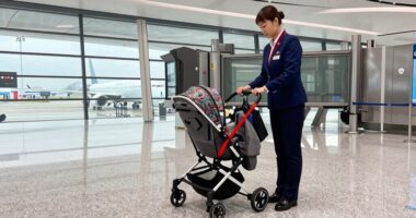 check stroller gate first