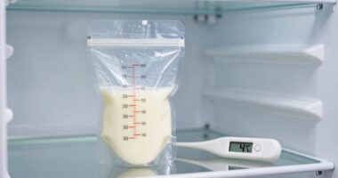 store milk cold properly