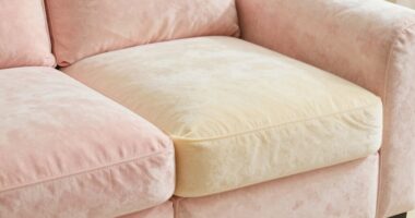 supportive foam in couches