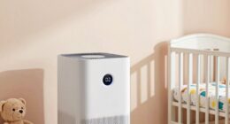 top air purifiers for odors