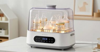 top baby bottle sterilizer options