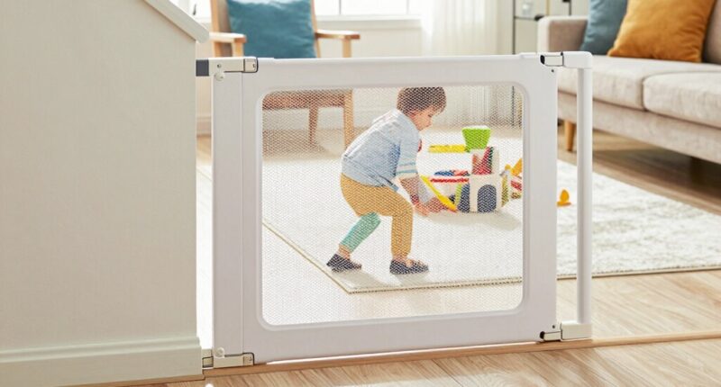 top baby gates 2026