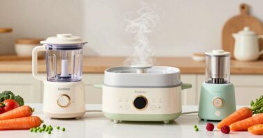 top baby puree appliances