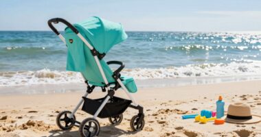 top beach stroller picks