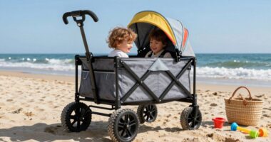 top beach wagon strollers