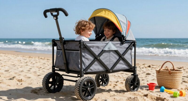 top beach wagon strollers