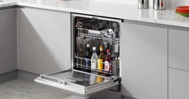 top bottle dishwasher picks