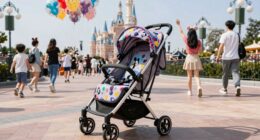top disney stroller options
