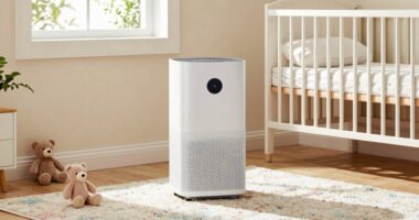 top nursery basement dehumidifiers