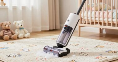 top nursery carpet cleaners