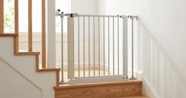 top rated stair mounted baby gates