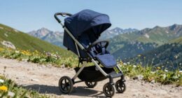 top road trip strollers