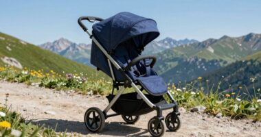 top road trip strollers