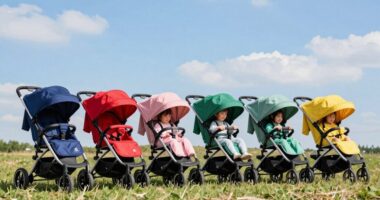 top stroller wagons list