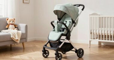 top strollers for grandparents