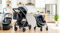 UPPAbaby Vista V2 vs Cruz V2: Which Stroller Is Better?