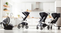 UPPAbaby / Nuna Nuna PIPA vs UPPAbaby / Nuna Nuna DEMI: Full Comparison