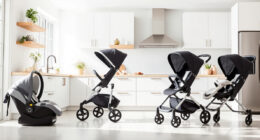 UPPAbaby / Nuna Nuna PIPA vs UPPAbaby / Nuna Nuna DEMI: Full Comparison