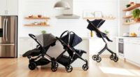UPPAbaby / Nuna PIPA vs UPPAbaby / Nuna DEMI: Full Comparison