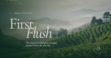 First Flush — Serein Tea Estate (FABLE/175)