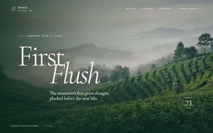 First Flush — Serein Tea Estate
