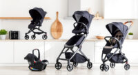 UPPAbaby Vista V2 vs Nuna MIXX: Which Stroller Fits Your Family?
